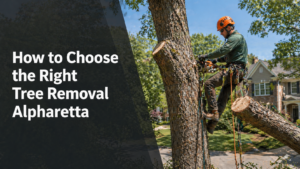 Tree removal guide in action