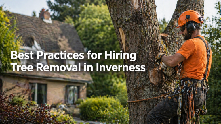 Tree removal expert in action