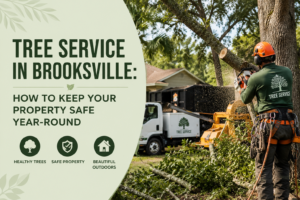 Tree service in Brooksville